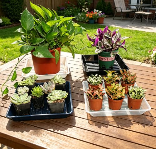 6 Pack 6 Inch Square Plant Saucer Heavy Duty, Plastic Drip Tray for Windowsill & Flower Pots, Clear - color: Clear, size: 6" - 6 Pack