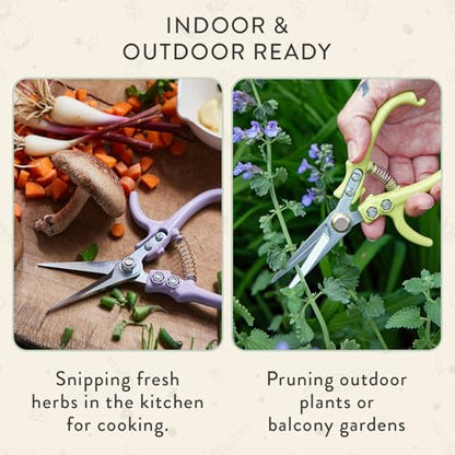 Modern Sprout Pruning Shears - Garden Snips - Herb Scissors - Sage 1-Pack - color: Sage