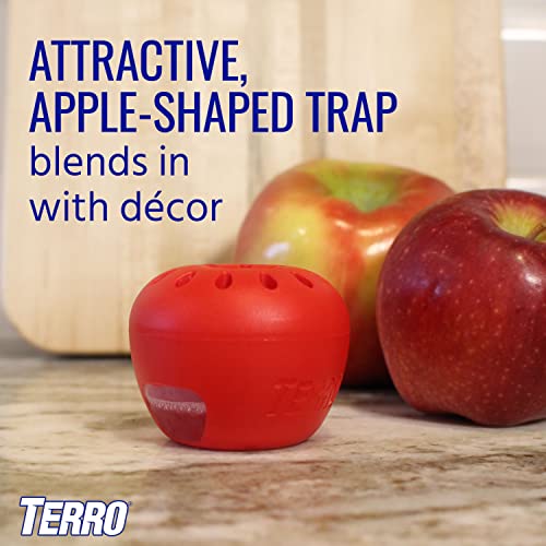Terro Fruit Fly Traps for Indoors (12 Pack) + 540 Days of Lure Supply - size: 12 Traps