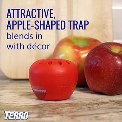 Terro Fruit Fly Traps for Indoors (12 Pack) + 540 Days of Lure Supply - size: 12 Traps