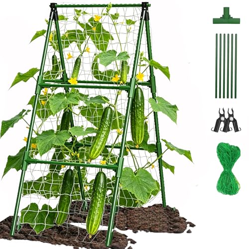 Garden Arch Trellis for Climbing Plants Outdoor, Garden Arch for Climbing Vine Vegetable/Fruit/Flower, Cucumber Trellis for Raised Bed (15.7x47in)