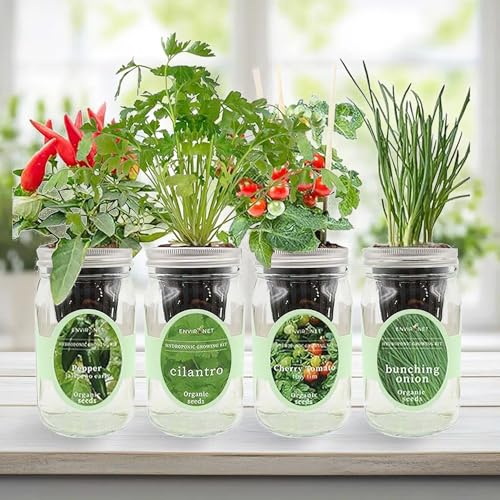 Hydroponic Mason Jar Indoor Garden Organic Seed Starter Kits - Zesty Salsa Growing Kits, Gardening Gift (Jalapeno Pepper, Cilantro, Cherry Tomato - Tiny Tim, Bunching Onion) - color: Zesty Salsa Growing Kits