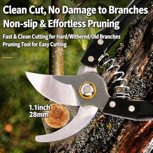 Garden Pruning Shears, Heavy Duty Stainless Steel Gardening Scissors for Plants, Sharp Handhled Trimmers, Bypass Blade Pruner for Branch, Hedge, Shrub, Flowers or Bonsai, Gardening Tool (Black)
