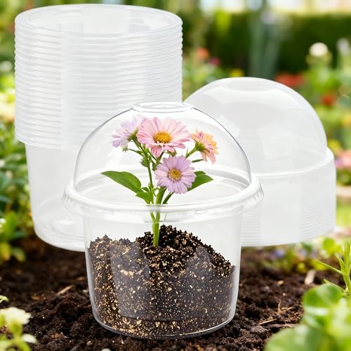 Clear Plastic Nursery Pots with Humidity Domes, Seed Starter Pots, Plant Germination Containers for Seedling Growing - color: Transparent
