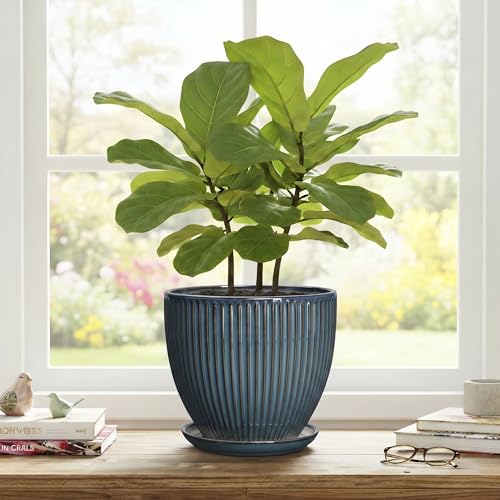 Ceramic Plant Pots, 8 Inch Planters with Saucer, Retro Blue - color: Retro Blue, size: 8 Inch