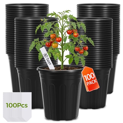 GroTheory 100 Pack 1 Gallon Nursery Pots, 6.7 Inch Plastic Pots for Plants