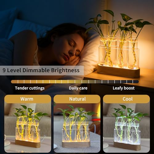 Plant Propagation Station with LED Grow Lights, 4 Glass Tubes & Oak Stand