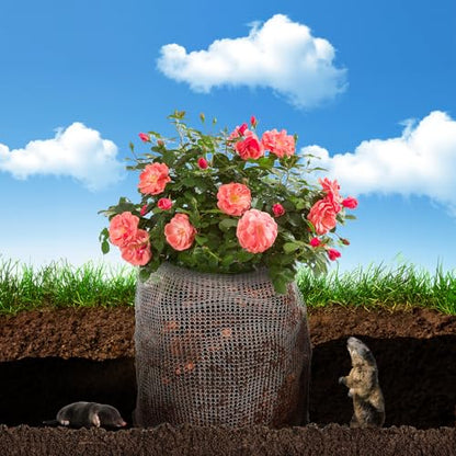 Noamus 8 Pack Plant Root Guard Basket, 5 Gallon Gopher Mole Vole Mesh, Reusable Stainless Steel Plant Speed Wire, Heavy Duty Protector Animal Cages for Garden Trees Bulbs Flowers Vegetables Protection - size: 5 Gallon