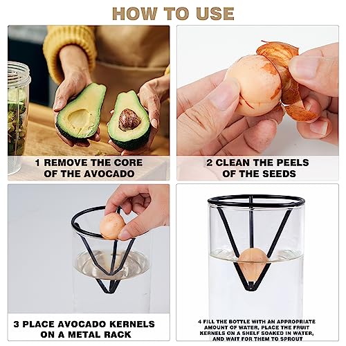Bylion 2 Pack Avocado Growing Kits Avocado Seed Starter - color: Black