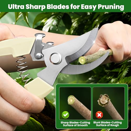 2 Pack Gardening Pruning Shears, Sharp Bypass Blade Garden Shears, Stainless Steel Garden Scissors with Comfortable Grip, Hand Pruners for Trimming Branches, Flowers, Plants, Fruit Trees & Vegetables