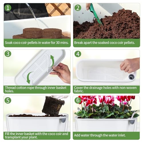 Oliz Self-Watering Planter with Coco Coir, Clear Modern Rectangular Pot