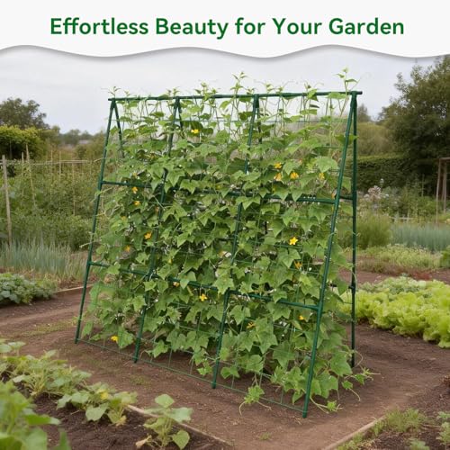 Cucumber Trellis 49.4"*49.4" Metal Garden Trellis for Climbing Plants,Green - size: 50"*32"*50"-G