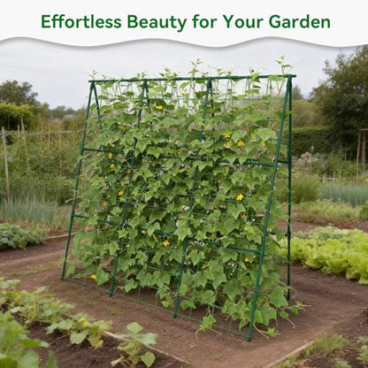 Cucumber Trellis 49.4"*49.4" Metal Garden Trellis for Climbing Plants,Green - size: 50"*32"*50"-G