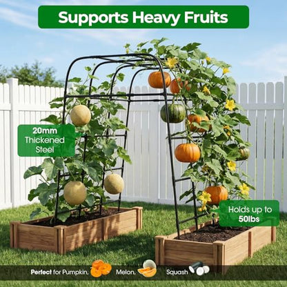 Garden Arch Trellis for Climbing Plants (83" H x 57" L), Metal Cucumber & Tomato Cage, Rustproof Walk-Through Tunnel Support for Pumpkin, Squash, Melon & Rose - style: 83" High x 57" Long (4-Arch)