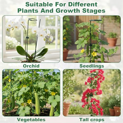 6pcs Plant Support Stakes Plant Stakes for Indoor 12/25/36 Inch Plants Sticks Support Adjustable Tall Plants Holder Sticks with 30 Clip for Peony Tomato Orchid Lily Flower