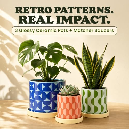 Original Earthlings Ceramic Plant Pots, Indoor Planters - Set of 3