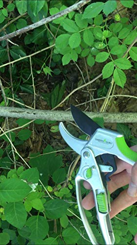 Garden Guru Ratchet Hand Pruning Shears - 2 in 1 Professional Garden Clippers with Ergonomic Grip - Makes Tough Cuts Easy (4 Pack) - size: 4 Pack, style: 2 in 1 Ratchet