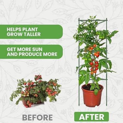 3 Pack 48" Tomato Cages for Garden - Large Tomato Plant Support Trellis - size: 3 Pack, 48 Inches