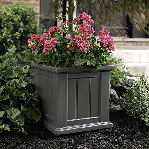 Mayne Cape Cod 14in Square Planter - Graphite Grey - 14in x 14in x 14in - Polyethylene - Built-in Water Reservoir (4836-GRG) - color: Graphite Gray, size: 14in