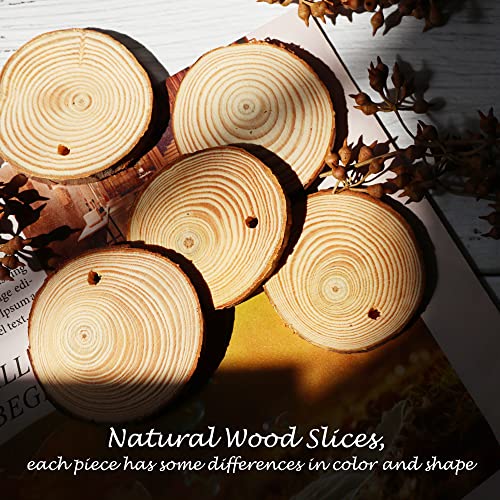 Temlum Wooden Plant Labels for Indoor & Outdoor Plants, 25pcs - color: Wood 25pcs