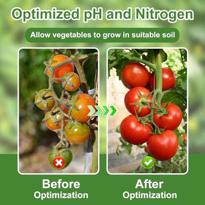2-in-1 pH & Nitrogen Soil Test Kit, Home Soil Testing Kit Separately Sealed in Foils, Soil pH Nitrogen Test Strips for Garden Lawn Grass Flower Vegetable Nutrient, Quick & Easy-to-Use