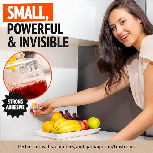 Super Ninja Fruit Fly Traps for Indoors, 4 Pack - size: 4 Traps