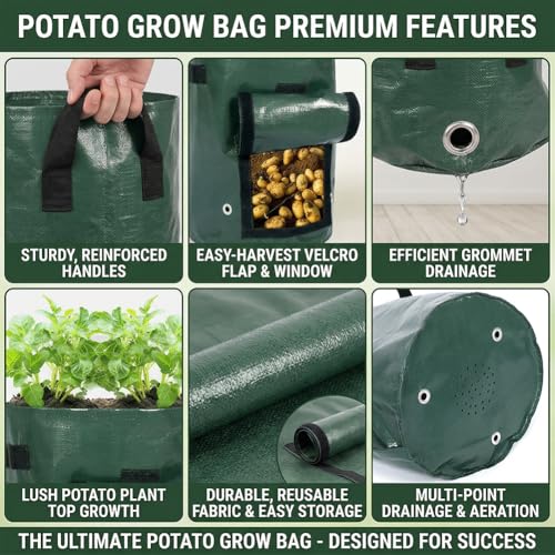 7 Gallon Potato Grow Bags with Harvest Flap and Handles, Durable PE Fabric Planter Pots for Tomato Onion Carrot Fruits Herbs, Outdoor Garden Containers, Green