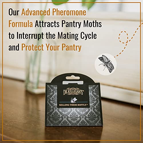 Dr. Killigan's Pantry Moth Traps with Pheromones Prime, 6 Pack, Black - color: Black