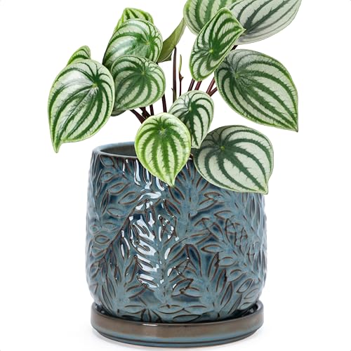 D'vine Dev Embossed Leaves Ceramic Planter, 6 in, Ocean Teal, 27-A-X-8 - color: Ocean Teal, size: 6 Inch