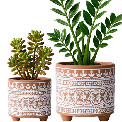 D'vine Dev 2-Pack Terracotta Pots, 4/6 in, Terracotta Bloom, 31-953-F-1 - style: Terracotta Bloom