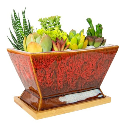 ARTKETTY Succulent Pots - 7 Inch Large Plant Pots with Drainage Tray - color: Red With Tray