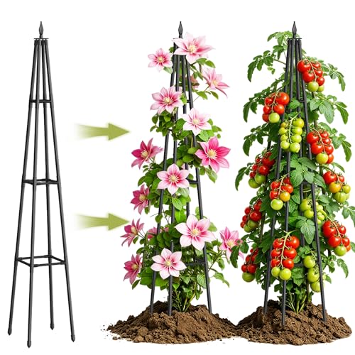 Obelisk Trellis for Climbing Plants Outdoor,5.2 Ft Garden Trellis for Potted Plants, Metal Trellis with Anti-Rust Coated for Potted Plants Indoor, Plant Support for Vegetables, Vines - size: 5.2 FT