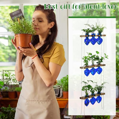 Leinuosen Hanging Plant Propagation Station, Propagation Vases, Blue - color: Blue
