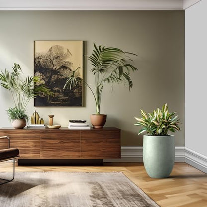 Kante Large Round Bullet Mint Green Concrete Planter 21.7" Tall, Outdoor - color: Mint Green