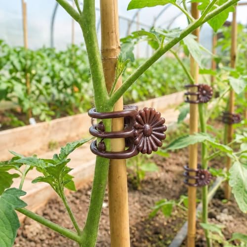 Garden Plant Clips, Brown Orchid Stem Support Clamps for Vine Training, Flower Stake Holders, 50 Count Pack - color: Brown