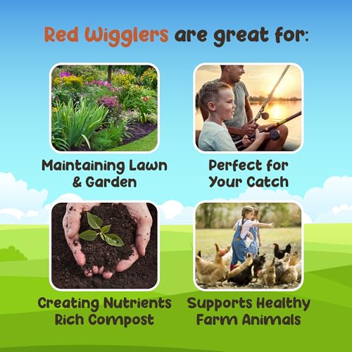 Red Wigglers Composting Worms, 2lb Red Worms for Composting for Gardens - size: 2lb
