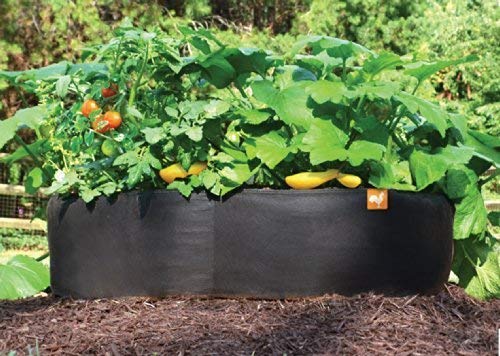 3 ft X 6 ft Victory 8 EZ-GRO Med Rectangle Raised Garden Bed Just Right Size AeroFlow Proprietary Fabric Grow Your OWN - size: 3x6 Feet