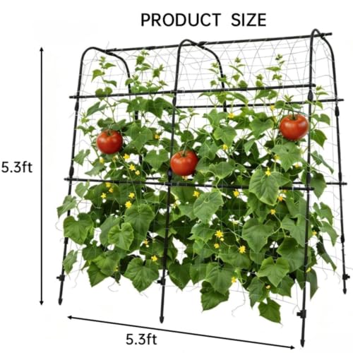 Garden Arch Trellis for Raised Beds, 5.3x5.3FT Plant Support for Cucumbers, Melons, Grapes, Roses & Climbing Vegetables, Outdoor Rust-Resistant Trellis for Vertical Growing, Black - size: 5.3x5.3x2 Ft