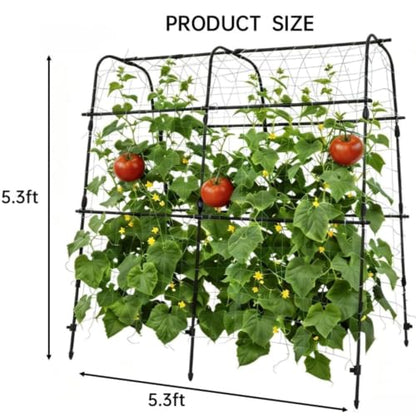 Garden Arch Trellis for Raised Beds, 5.3x5.3FT Plant Support for Cucumbers, Melons, Grapes, Roses & Climbing Vegetables, Outdoor Rust-Resistant Trellis for Vertical Growing, Black - size: 5.3x5.3x2 Ft