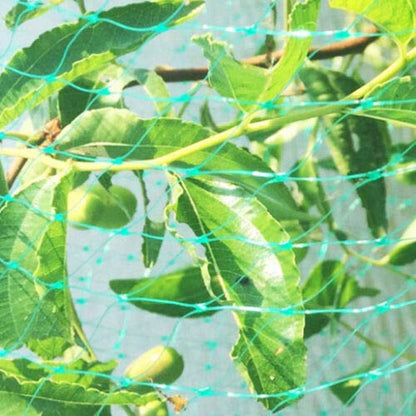 Bird Netting for Garden Protect Vegetable Plants and Fruit Trees13X33Ft - Garden Netting Mesh for Garden Protection Bird Fence Plant Netting Chicken Coop Deer Squirrels Poultry Protect Fruit Trees