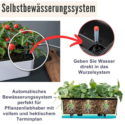 LaLaGreen Planter Box for Indoor Plants (16in, 2 Pack) Window Flower Pots - color: Black