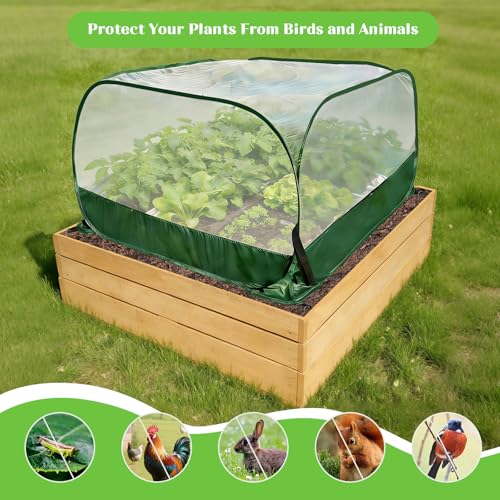 40"x40"x20" Pop Up Garden Mesh Plant Cover-Foldable Mesh Plant Protector - size: 1pcs