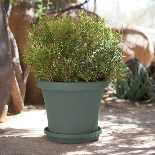 Bloem Terra 24" Plastic Planter, 16 Gallon, Basil, 2-Pack - color: Basil, size: 24" (Pack of 2)