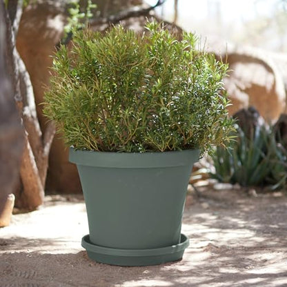 Bloem Terra 24" Plastic Planter, 16 Gallon, Basil, 2-Pack - color: Basil, size: 24" (Pack of 2)