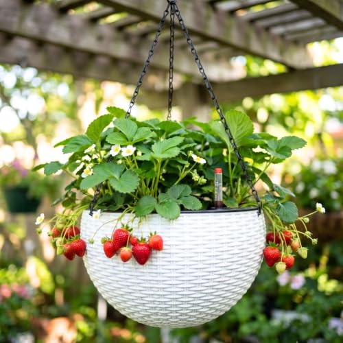 LaLaGreen Hanging Pots for Indoor (11in, 3 Pack) Self-Watering Plant Holder - color: White X 3 Pack