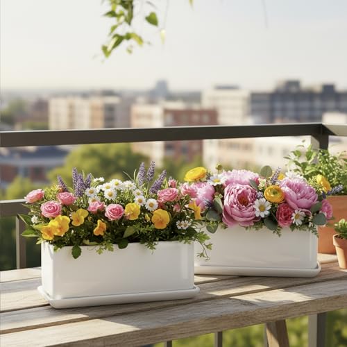MyGift White Ceramic Succulent Planter with Drainage & Saucer, 2 Pack - size: 10 inch - 2 Pack