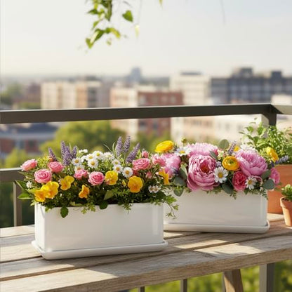 MyGift White Ceramic Succulent Planter with Drainage & Saucer, 2 Pack - size: 10 inch - 2 Pack