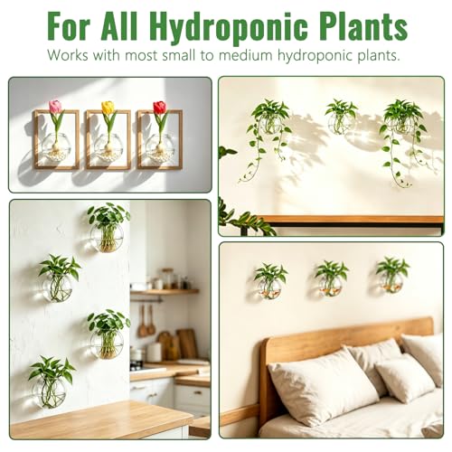 NUPTIO Glass Wall Hanging Planters: Propagation Station for Plants, 4 Pcs - size: 4 Pcs
