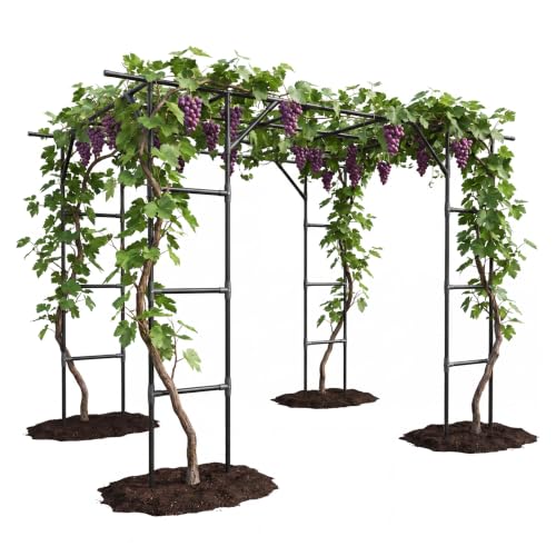 Garvee Metal Garden Arch Trellis for Climbing Plants Outdoor - color: Black-94"L*78"W*114"H