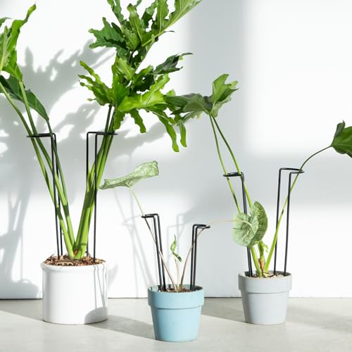 10Pcs Monstera Plant Support - 12" Durable Iron U-Shaped Trellis Stakes - color: Black, size: 12 Inch H